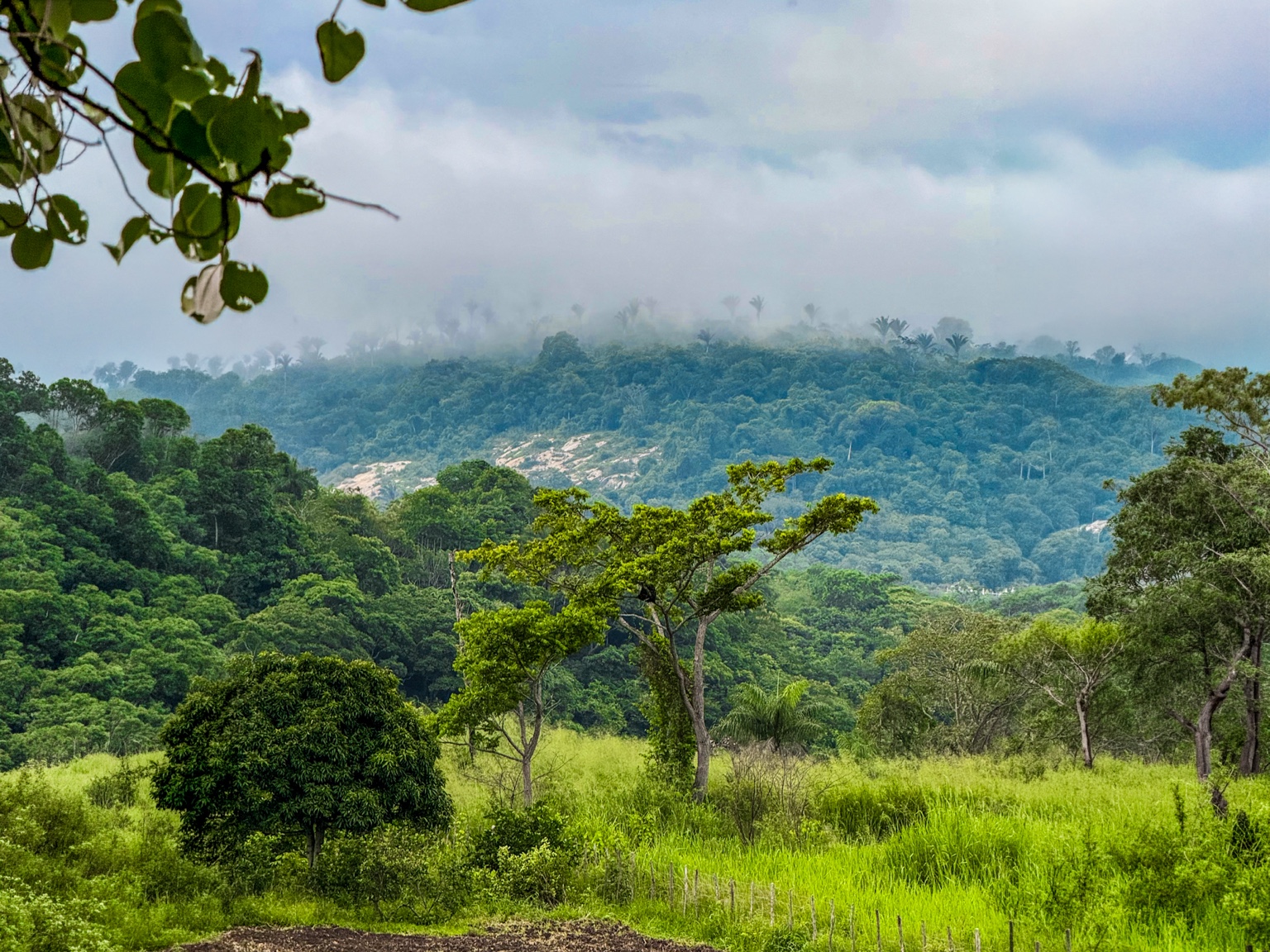 Paisagem do brejo paraibano, com serras verdes e neblina.